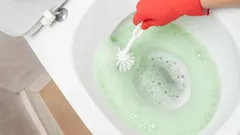 15 minutes and your toilet will be blindingly white: throw these two ingredients into the toilet bowl