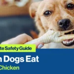 Can Dogs Eat Raw Chicken