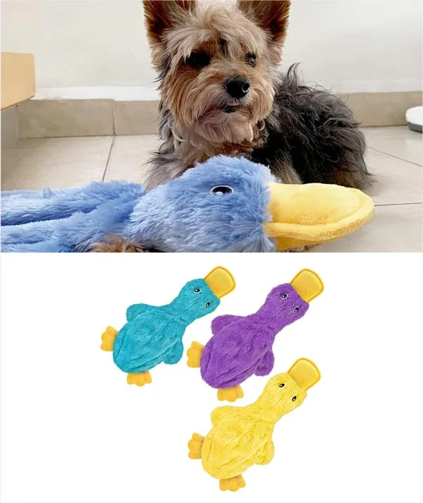 Crinkle Duck Chew Toy