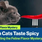 Unveiling the Feline Flavor Mystery