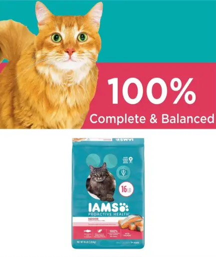 iams proactive health cat food
